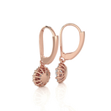1 ctw Round Lab Grown Diamond Drop Earrings