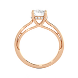 Round Lab Grown Diamond Side Stone Engagement Ring