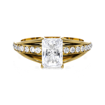 Emerald cut lab grown diamond side?stone?ring