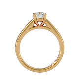 2 1/2 ctw Round Lab Grown Diamond Side Stone Engagement Ring